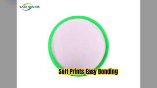 Stampa morbida in polvere hot melt PU DTF