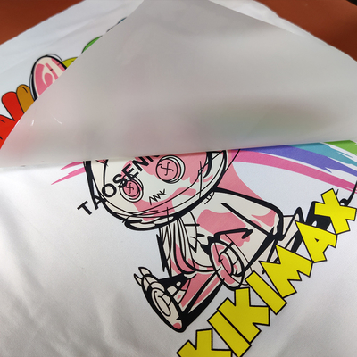 Prezzo buono Campione gratuito DTF a doppio lato matto 30cm 60cm Cold Peel Hot Peel Pet Film Dtf Roll in linea