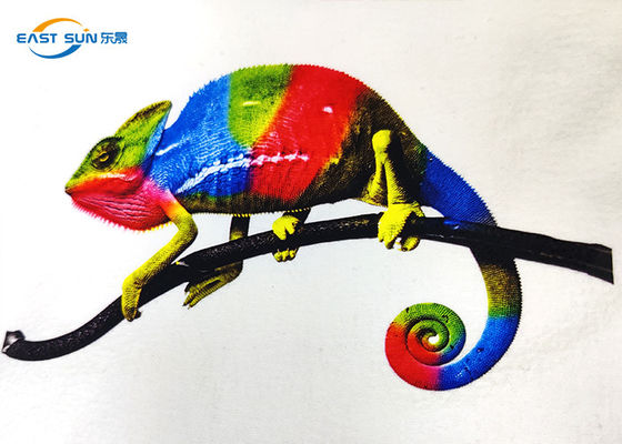 Prezzo buono film stampabile dell'ANIMALE DOMESTICO del trasferimento di calore A3 di 600mm per stampa a getto di inchiostro di DTF in linea