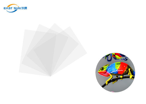 Prezzo buono Colore bianco di larghezza 60cm 33cm 30cm DTF del film convenzionale del trasferimento di calore in linea