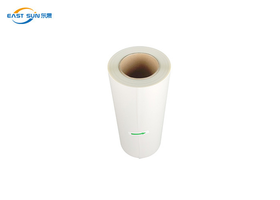 Pellicola per animali domestici DTF in rotolo singolo doppio lato opaco 30 cm 33 cm 60 cm Dtf