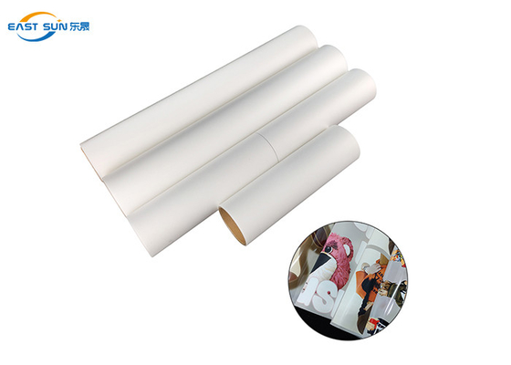 Pellicola di stampa DTF a scorrimento caldo / a scorrimento freddo 30 cm 60 cm Pellicola di trasferimento termico PET per magliette